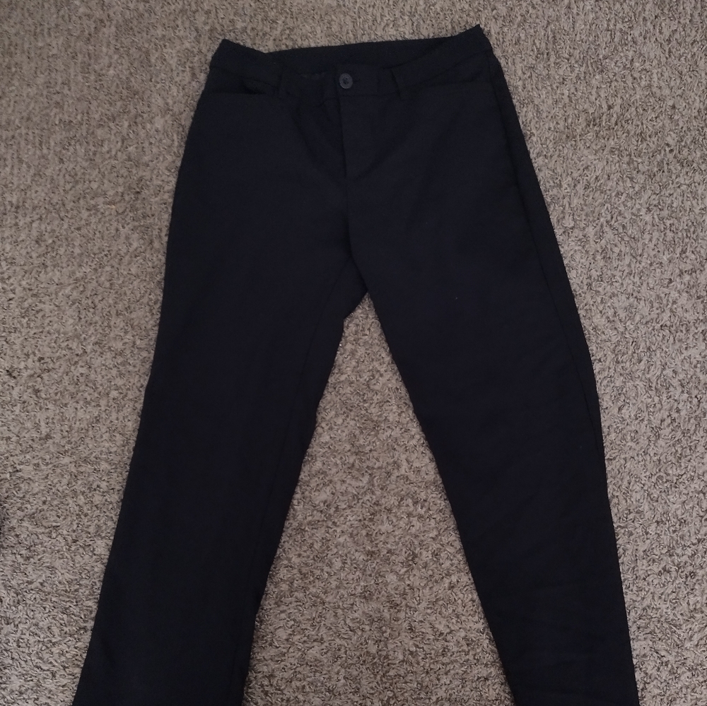 Dress pants